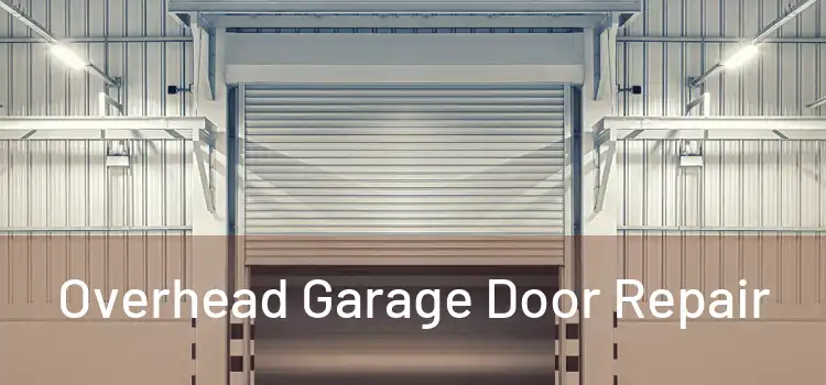  Overhead Garage Door Repair 