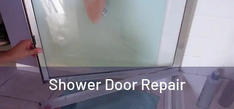  Shower Door Repair 